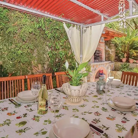 Le Cycas * Santa Lucia